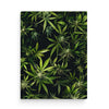 Image for size: 60cm x 80cm